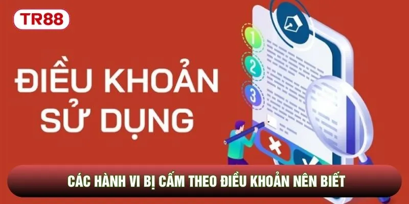 Các hành vi bị cấm theo điều khoản nên biết