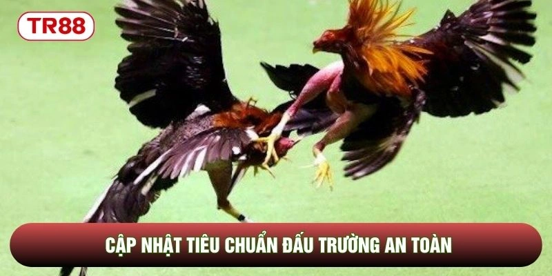 Cập nhật tiêu chuẩn đấu trường an toàn