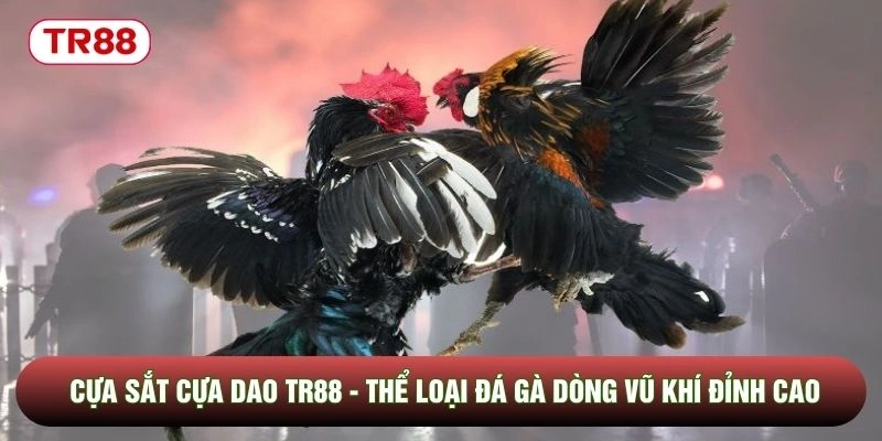 Cựa Sắt Cựa Dao TR88 - Thể Loại Đá Gà Dòng Vũ Khí Đỉnh Cao
