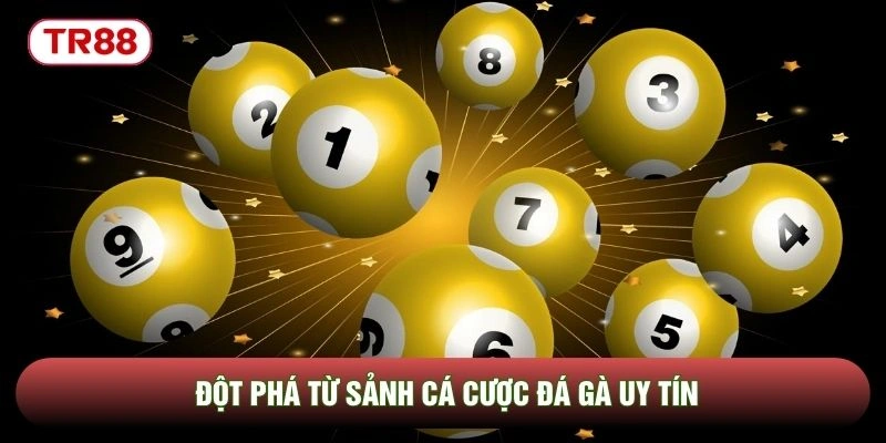 Đột phá từ sảnh cá cược đá gà uy tín Đột phá từ sảnh cá cược đá gà uy tín