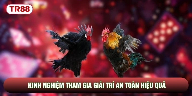 Kinh nghiệm tham gia giải trí an toàn hiệu quả Kinh nghiệm tham gia giải trí an toàn hiệu quả