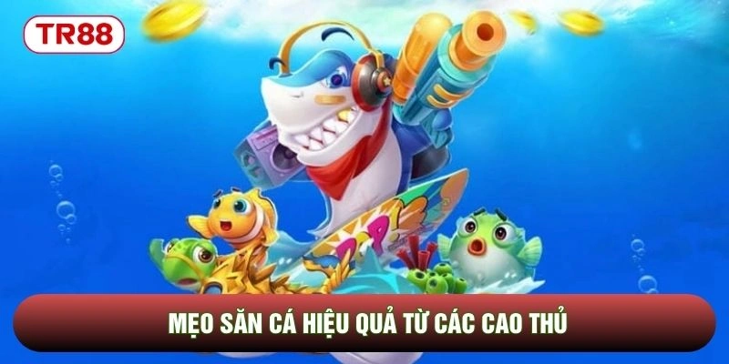 Mẹo săn cá hiệu quả từ các cao thủ