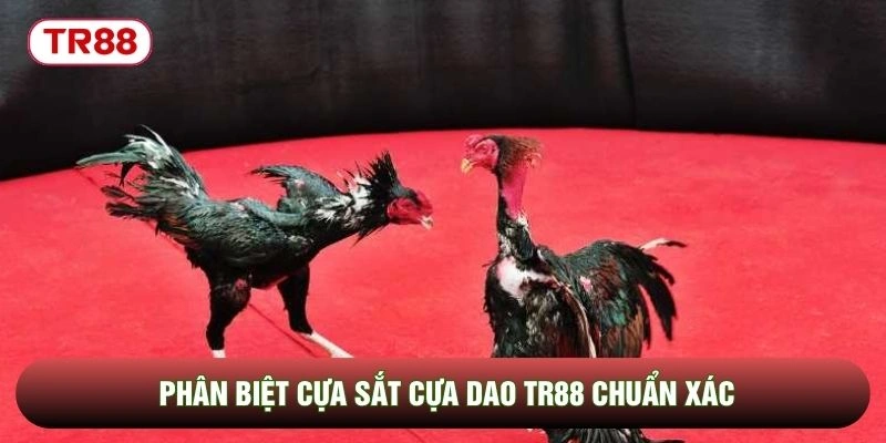 Phân biệt cựa sắt cựa dao TR88 chuẩn xác
