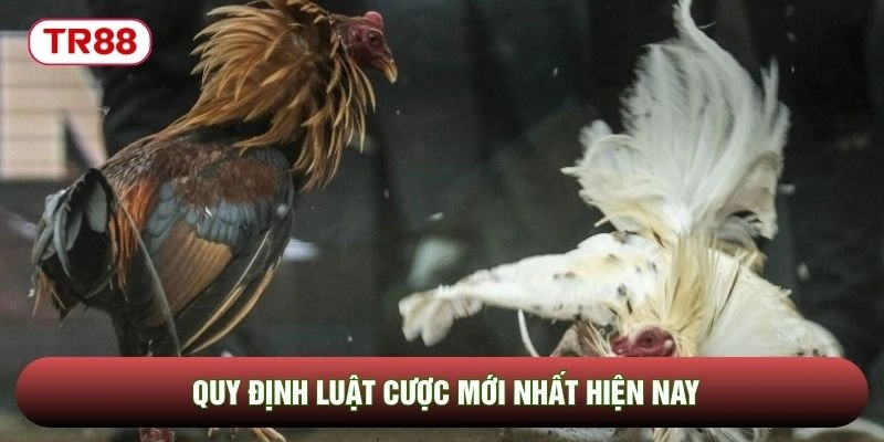 Quy định luật cược mới nhất hiện nay