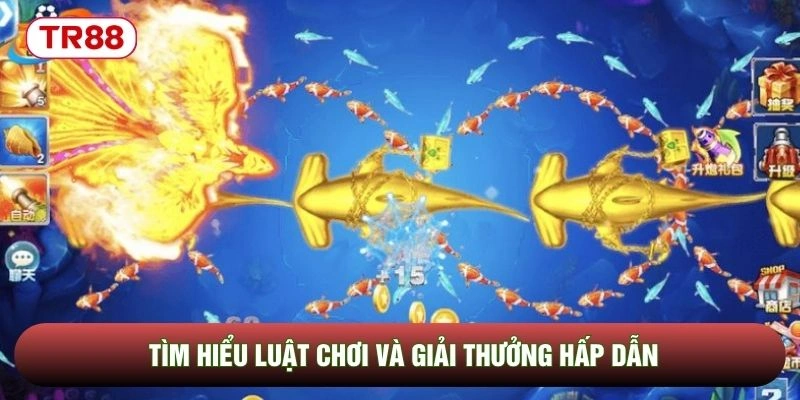 Tìm hiểu luật chơi và giải thưởng hấp dẫn