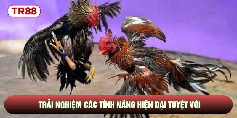 Trải nghiệm các tính năng hiện đại tuyệt vời Trải nghiệm các tính năng hiện đại tuyệt vời